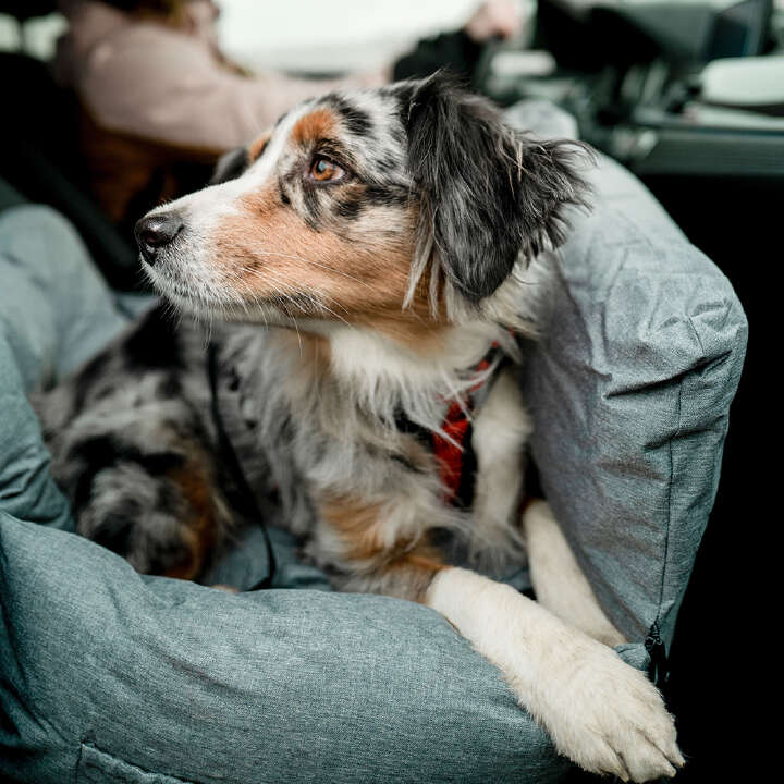 Nobby Auto-Reisebett BENA für Hunde